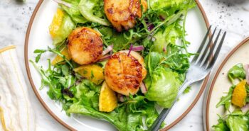 Vieiras queimadas e panfilicultas | Skinnytaste